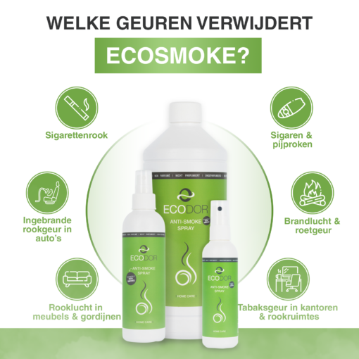 Afbeelding die laat zien welke geuren EcoSmoke verwijdert, zoals sigarettenrook, ingebrande rookgeur, rooklucht in gordijnen en meubels, sigaren- en pijproken, brandlucht en roetgeur, en tabaksgeur in kantoren en rookruimtes.