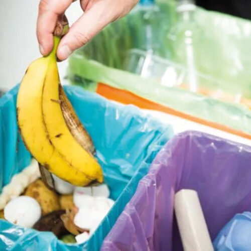 Ecodor Odorshield (concentrado)